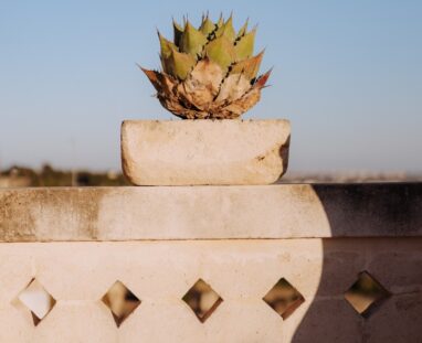 164_GRV_7393